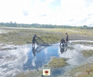 EVSU-CC Celebrates Productive Bangus Harvest from Income-Generating Initiative