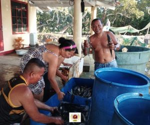 EVSU-CC Celebrates Productive Bangus Harvest from Income-Generating Initiative