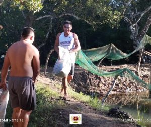 EVSU-CC Celebrates Productive Bangus Harvest from Income-Generating Initiative