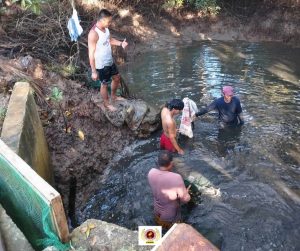 EVSU-CC Celebrates Productive Bangus Harvest from Income-Generating Initiative