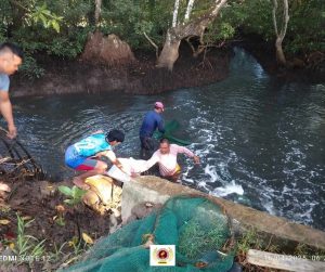 EVSU-CC Celebrates Productive Bangus Harvest from Income-Generating Initiative