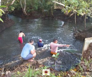 EVSU-CC Celebrates Productive Bangus Harvest from Income-Generating Initiative