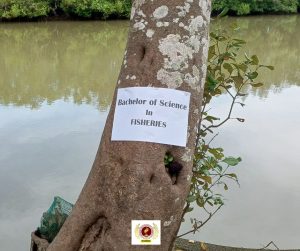 EVSU-CC Graduating Students Leave a Lasting Green Legacy Through Tree-Planting Initiative