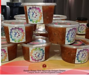 EVSU-CC’s Project LIVE Culminates with Empowerment Milestone for Tunga Women