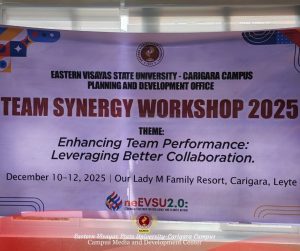 Enhancing Workforce Capability: EVSU-CC Conducts 3-Day Synergy Workshop
